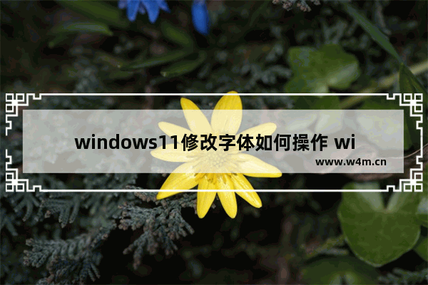 windows11修改字体如何操作 windows11修改字体方法介绍