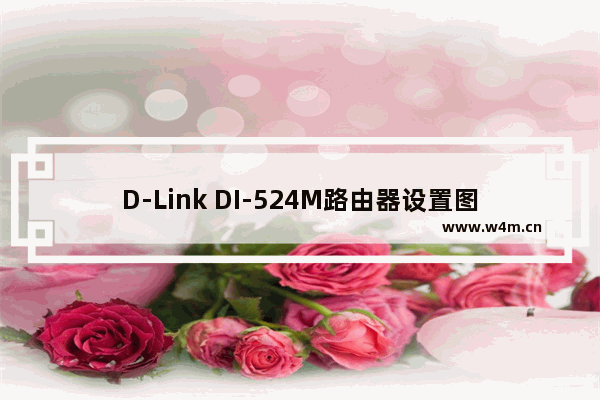 D-Link DI-524M路由器设置图解