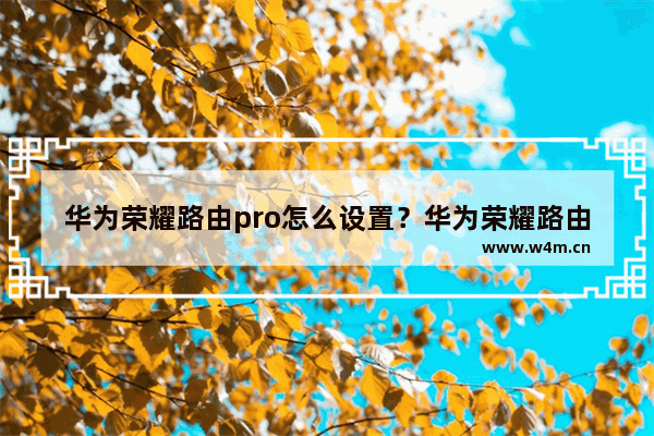 华为荣耀路由pro怎么设置？华为荣耀路由pro设置教程图解(如何设置华为荣耀路由pro？华为荣耀路由专业设置教程图解)