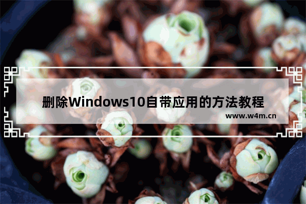 删除Windows10自带应用的方法教程