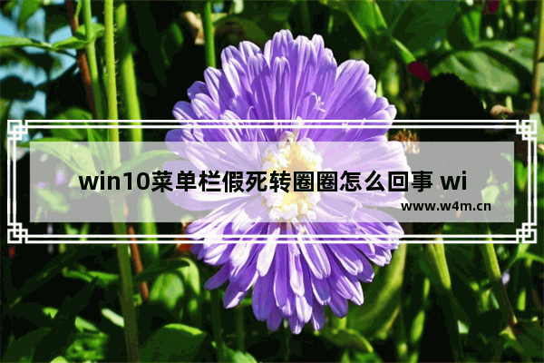 win10菜单栏假死转圈圈怎么回事 win10菜单栏假死转圈圈解决办法