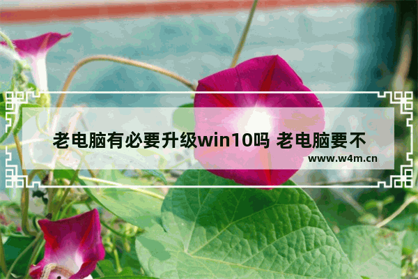 老电脑有必要升级win10吗 老电脑要不要升级win10