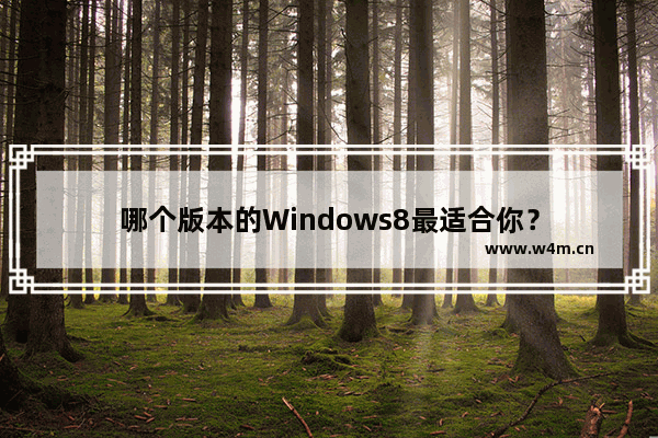 哪个版本的Windows8最适合你？