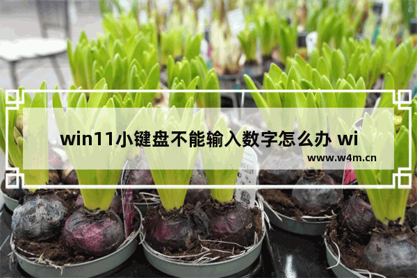 win11小键盘不能输入数字怎么办 win11小键盘不能输入数字解决办法