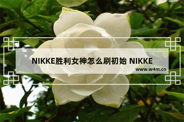 NIKKE胜利女神怎么刷初始 NIKKE胜利女神刷初始方法介绍