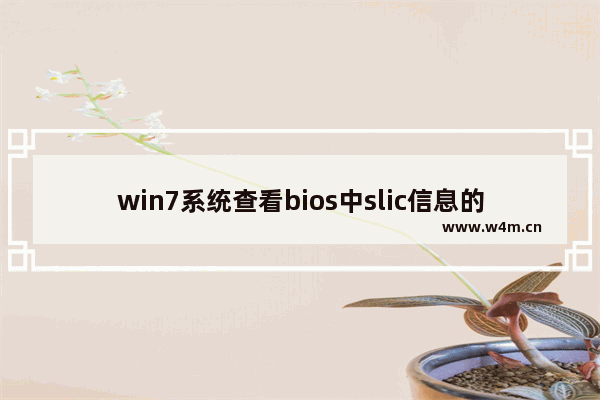 win7系统查看bios中slic信息的方法