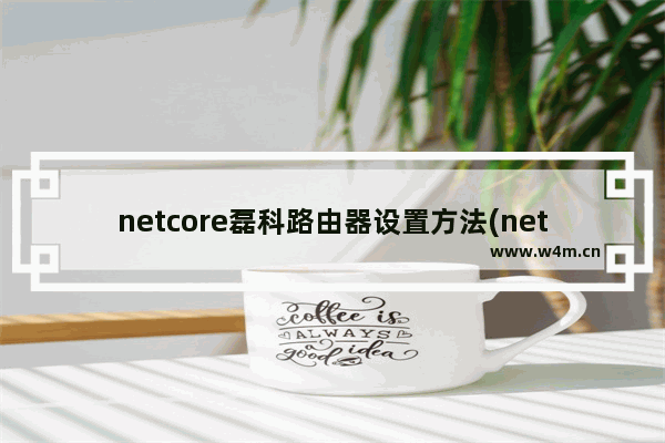 netcore磊科路由器设置方法(netcore磊科路由器设置网址)