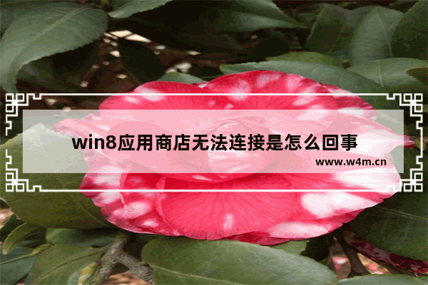 win8应用商店无法连接是怎么回事