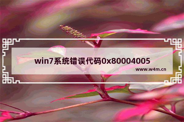 win7系统错误代码0x80004005的解决方法