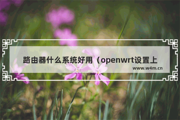 路由器什么系统好用（openwrt设置上网教程）