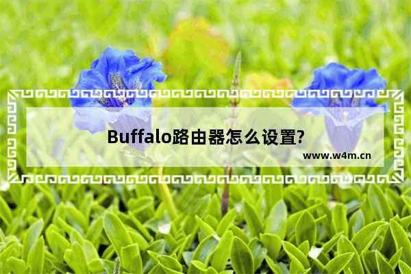 Buffalo路由器怎么设置?