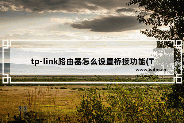 tp-link路由器怎么设置桥接功能(TP-LINK路由器管理)