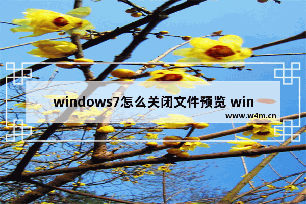 windows7怎么关闭文件预览 windows7关闭文件预览方法