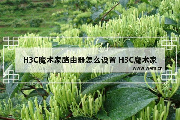 H3C魔术家路由器怎么设置 H3C魔术家路由器设置上网教程【详解】