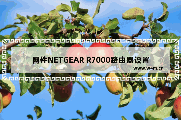 网件NETGEAR R7000路由器设置上网