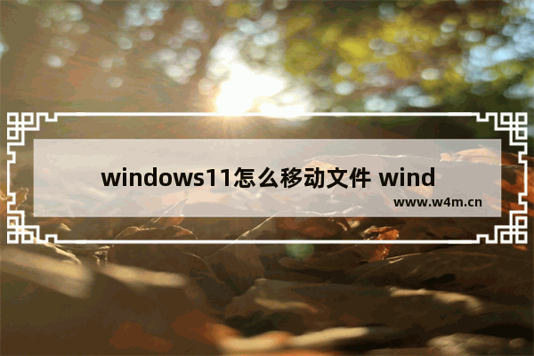 windows11怎么移动文件 windows11移动文件方法