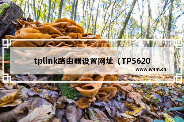 tplink路由器设置网址（TP5620视频教程）