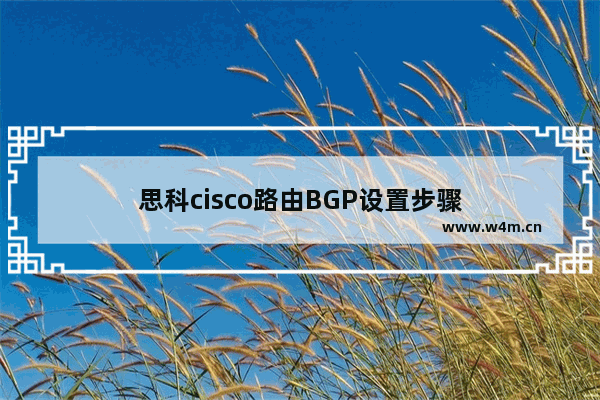 思科cisco路由BGP设置步骤