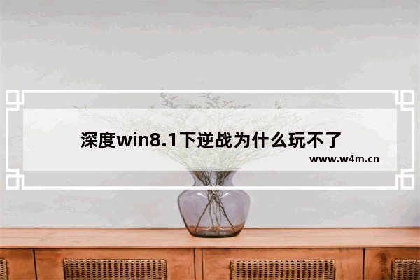 深度win8.1下逆战为什么玩不了