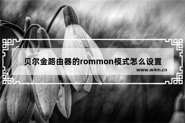 贝尔金路由器的rommon模式怎么设置