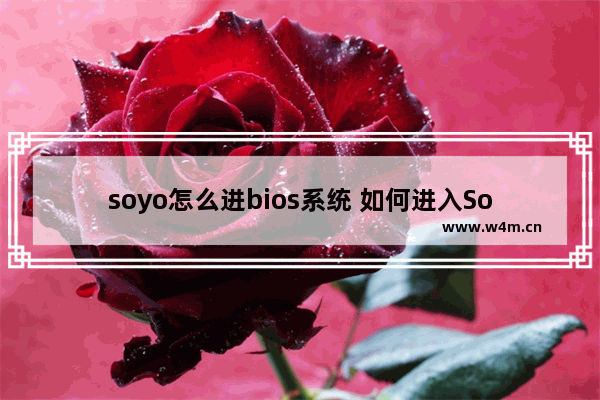 soyo怎么进bios系统 如何进入Soyo BIOS系统