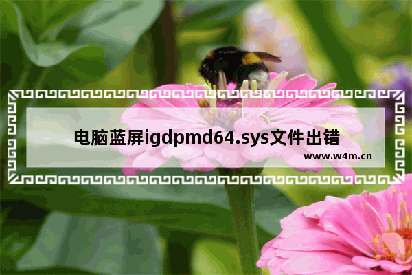 电脑蓝屏igdpmd64.sys文件出错该怎么办