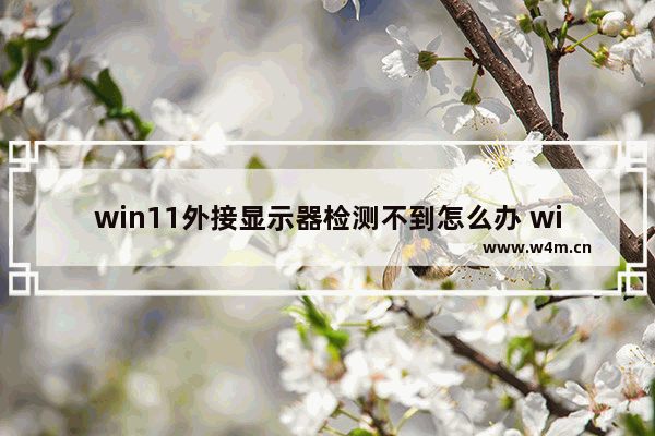 win11外接显示器检测不到怎么办 win11外接显示器检测不到解决办法