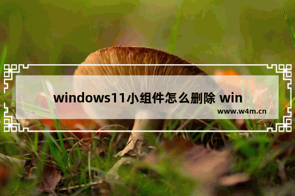 windows11小组件怎么删除 windows11小组件怎么删除方法介绍