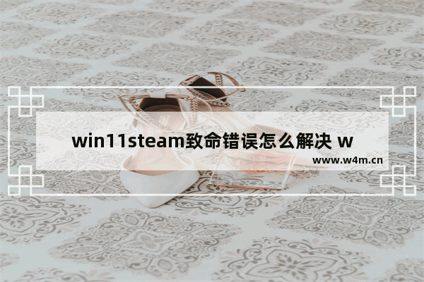 win11steam致命错误怎么解决 win11steam致命错误解决方法