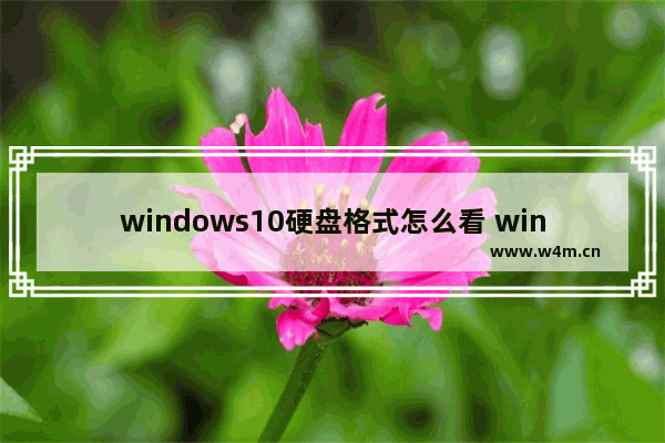 windows10硬盘格式怎么看 windows10硬盘格式查看方法