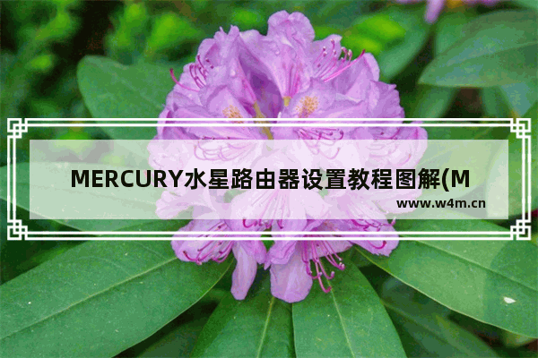 MERCURY水星路由器设置教程图解(MERCULY水星路由器设置教程插图)