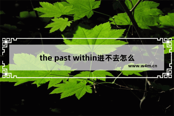 the past within进不去怎么办 the past within进不去解决办法