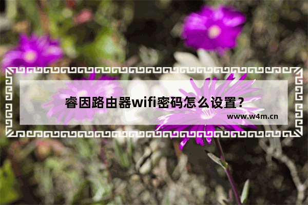 睿因路由器wifi密码怎么设置？