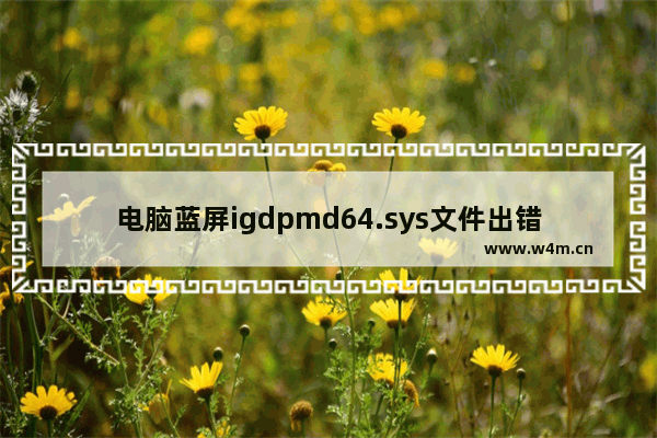 电脑蓝屏igdpmd64.sys文件出错该怎么办