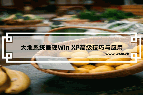 大地系统呈现Win XP高级技巧与应用