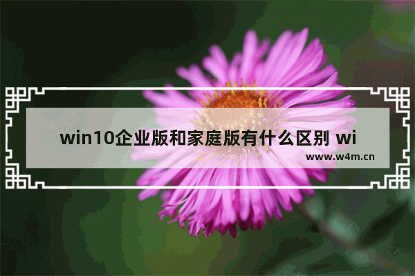 win10企业版和家庭版有什么区别 win10企业版和家庭版区别一览