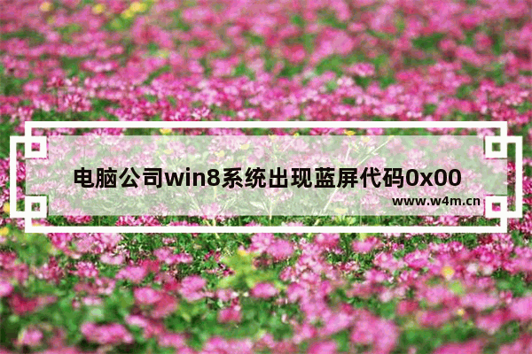 电脑公司win8系统出现蓝屏代码0x00000019该怎么办