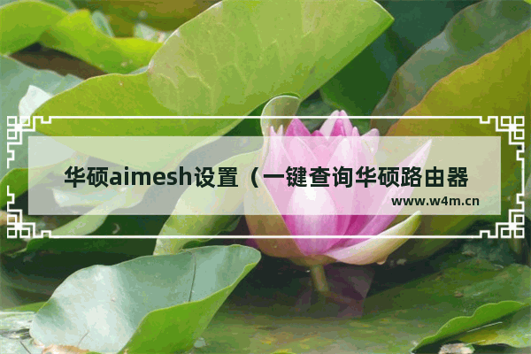 华硕aimesh设置（一键查询华硕路由器及AiMesh节点设备状态）