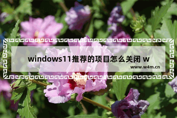 windows11推荐的项目怎么关闭 windows11推荐的项目怎么关闭方法介绍