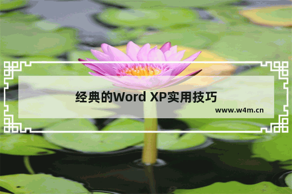 经典的Word XP实用技巧