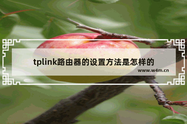 tplink路由器的设置方法是怎样的