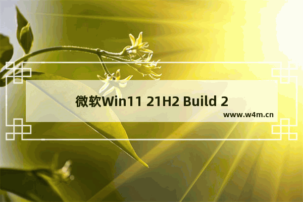 微软Win11 21H2 Build 22000.1165(KB5018483)预览版更新内容介绍