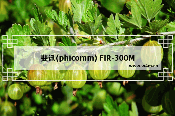 斐讯(phicomm) FIR-300M 路由器设置方法