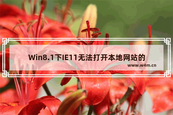 Win8.1下IE11无法打开本地网站的解决方法