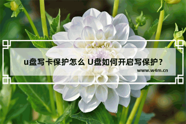 u盘写卡保护怎么 U盘如何开启写保护？