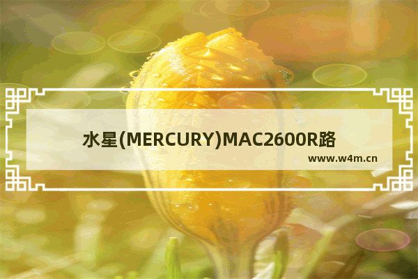 水星(MERCURY)MAC2600R路由器怎么恢复出厂设置？