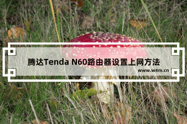 腾达Tenda N60路由器设置上网方法