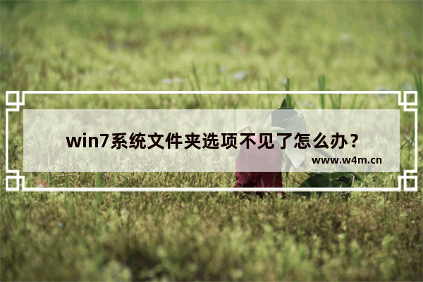 win7系统文件夹选项不见了怎么办？