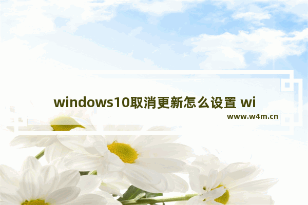 windows10取消更新怎么设置 windows10取消更新怎么设置方法介绍