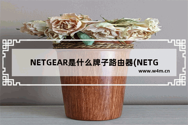 NETGEAR是什么牌子路由器(NETGEAR路由设置)